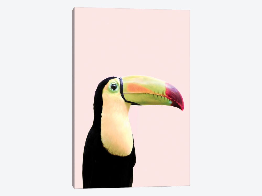 Toucan Bird by Sisi & Seb 1-piece Canvas Print