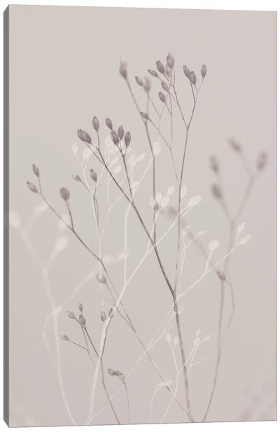 Winter Grasss Canvas Art Print - Japandi