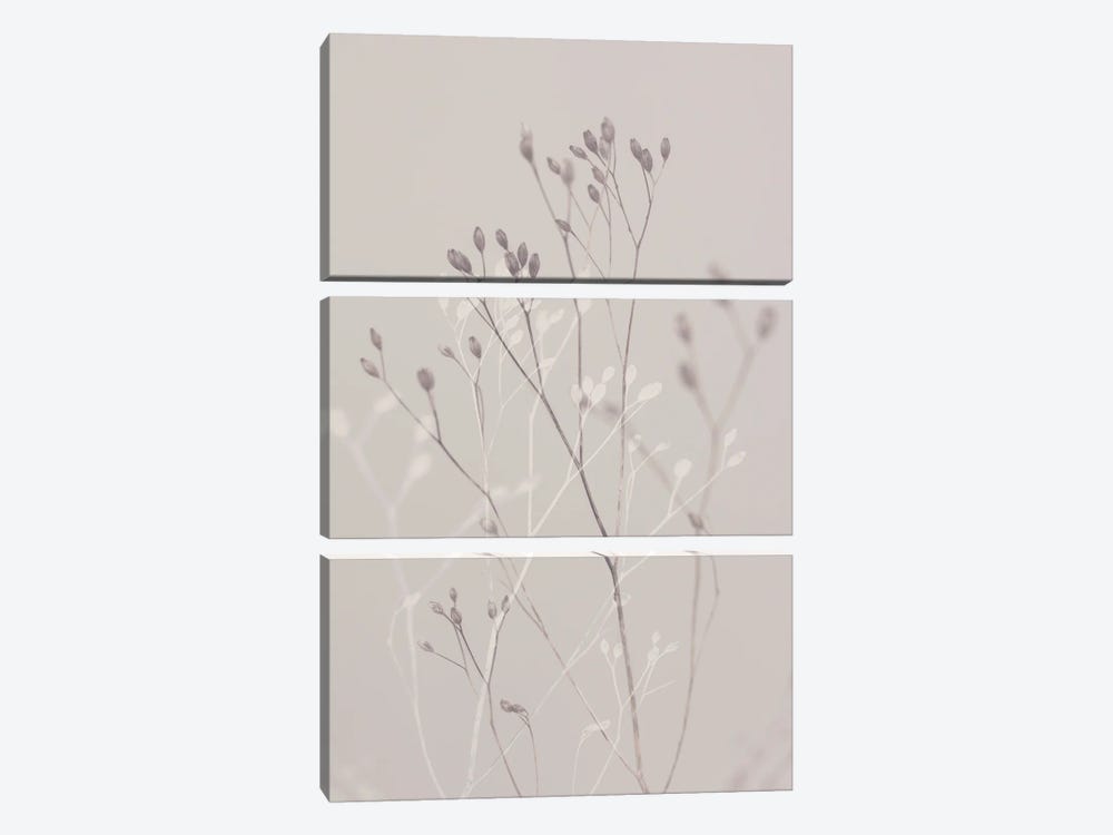 Winter Grasss by Sisi & Seb 3-piece Canvas Wall Art