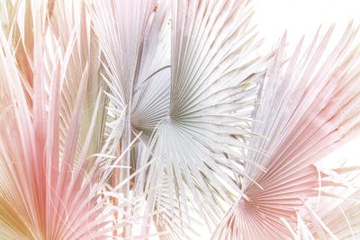 Palms And Hues by Sisi & Seb metal wall art