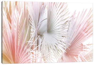 Palms And Hues Canvas Art Print - Sisi & Seb