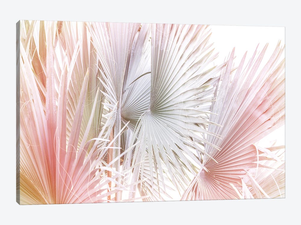 Palms And Hues by Sisi & Seb 1-piece Canvas Print