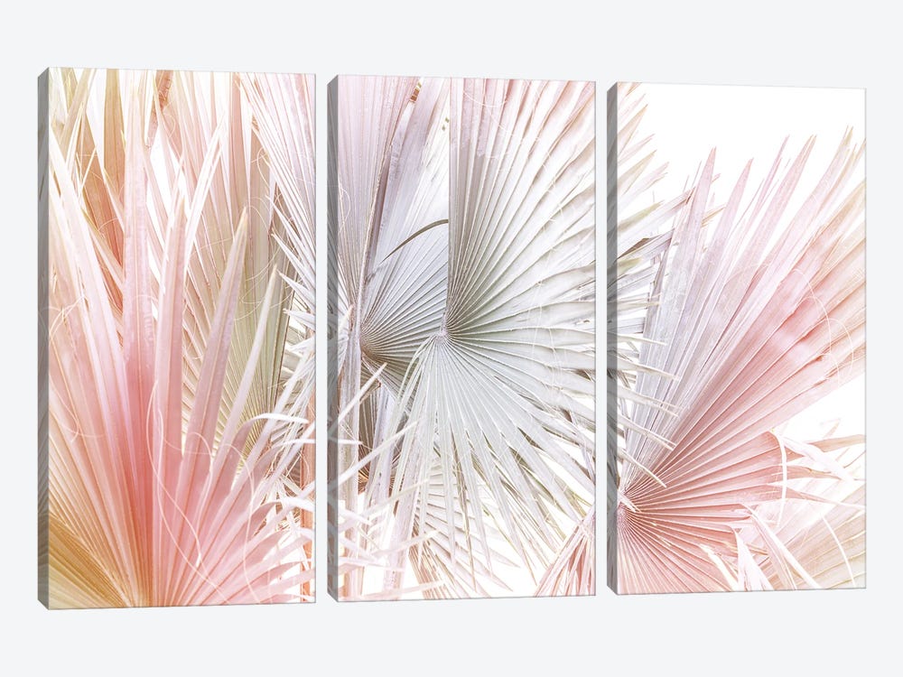 Palms And Hues by Sisi & Seb 3-piece Canvas Print