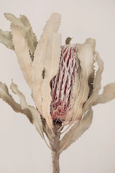 Sisi & Seb: Hidden by Sisi & Seb