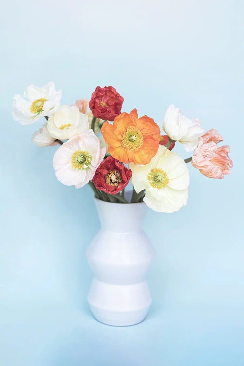 Colorful Poppies