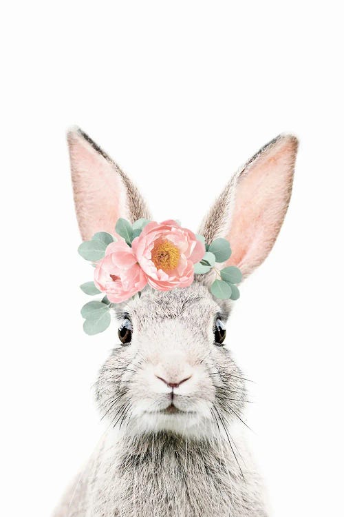 Flower Bunny