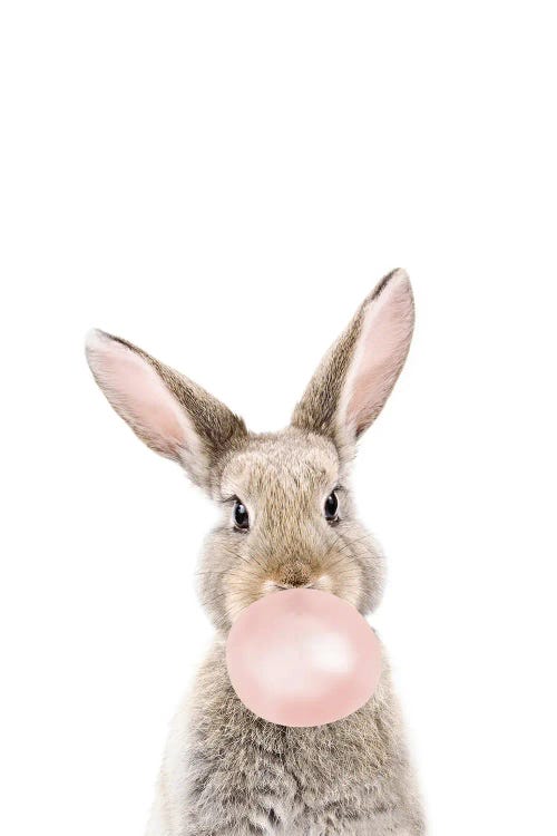 Bubble Gum Bunny