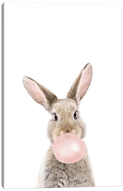 Bubble Gum Bunny Canvas Art Print - Bubble Gum