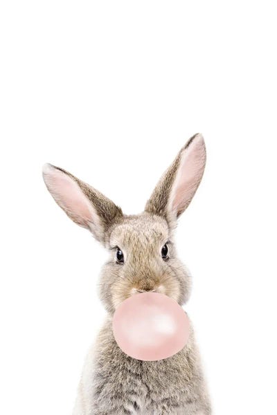 Rabbits: Bubble Gum Bunny by Sisi & Seb
