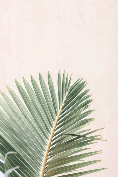 La Palma by Sisi & Seb metal wall art