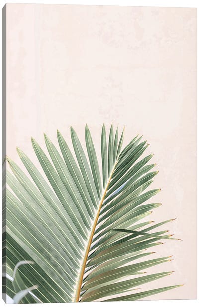 La Palma Canvas Art Print - Sisi & Seb