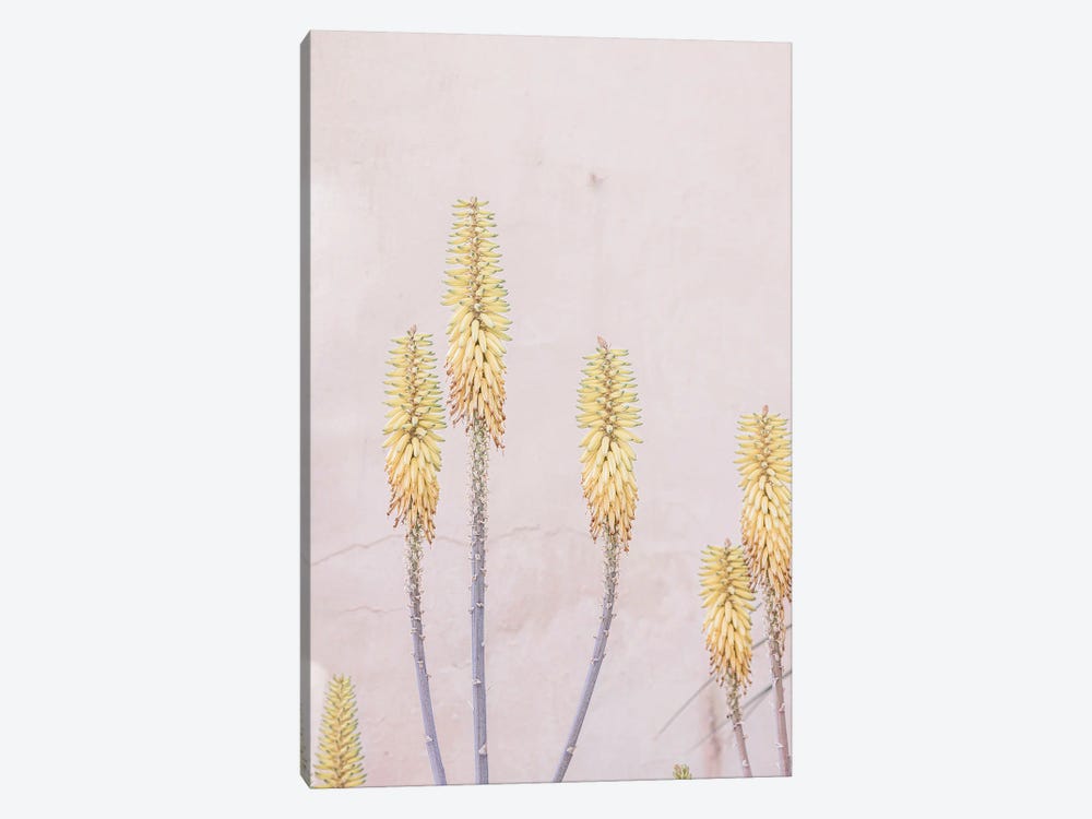Yellow Cactus Flower by Sisi & Seb 1-piece Canvas Wall Art