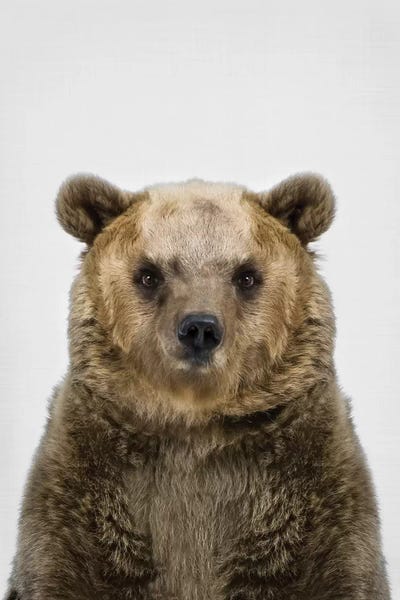 Sisi & Seb: Bear by Sisi & Seb