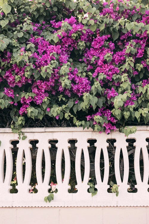 Spanish Garden by Sisi & Seb wall art