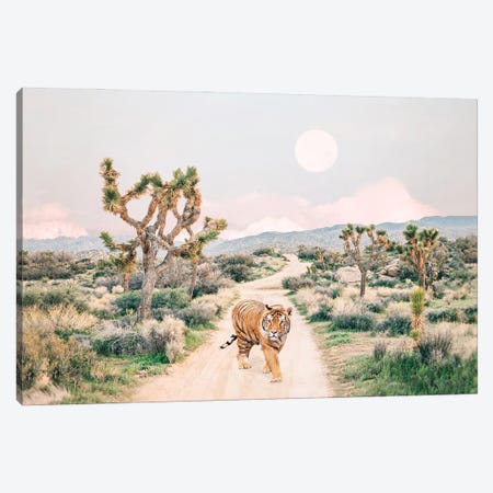 Wandering Tiger In Joshua Tree Canvas Print #SSE305} by Sisi & Seb Canvas Artwork