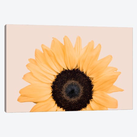 Sunflower On Beige Canvas Print #SSE308} by Sisi & Seb Canvas Art Print