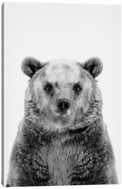 Bear In Black & White Canvas Art Print - Sisi & Seb