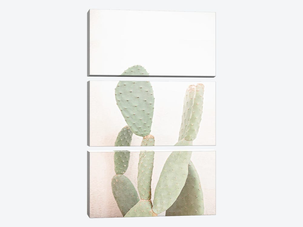 Little Cacti by Sisi & Seb 3-piece Art Print