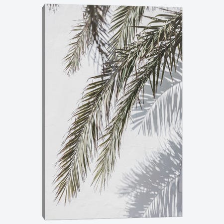 Palm And Shade Canvas Print #SSE317} by Sisi & Seb Canvas Print