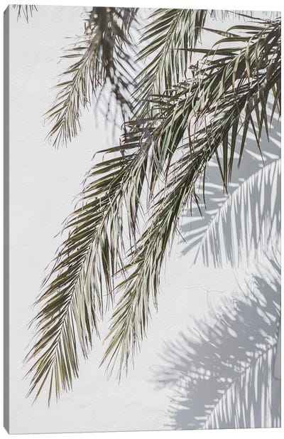 Palm And Shade Canvas Art Print - Sisi & Seb