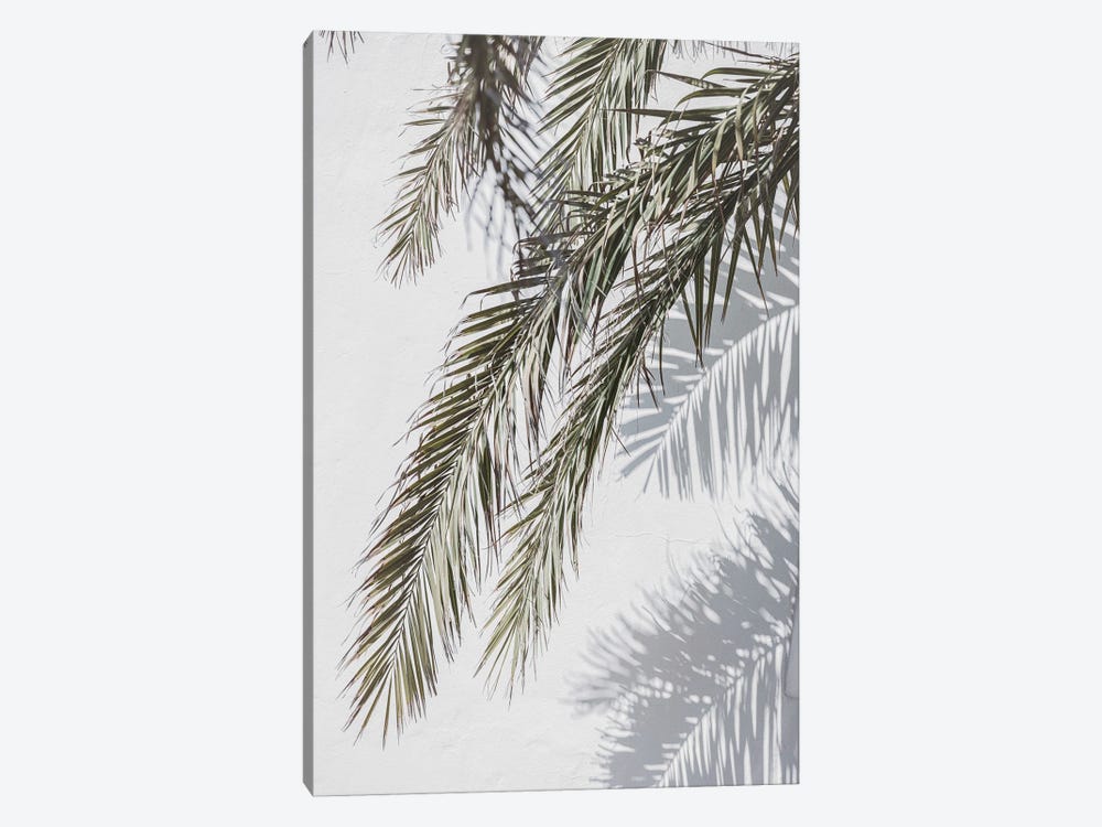 Palm And Shade by Sisi & Seb 1-piece Canvas Art Print