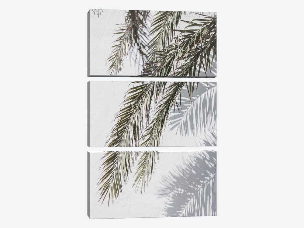 Palm And Shade by Sisi & Seb 3-piece Art Print