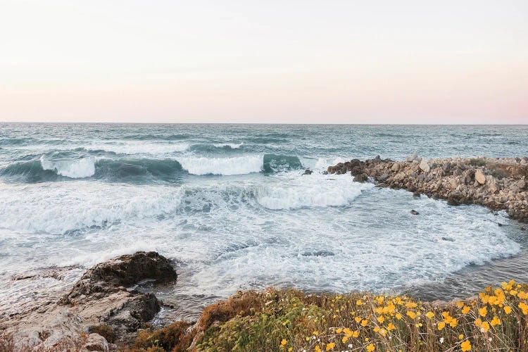 Flowers At The Coast