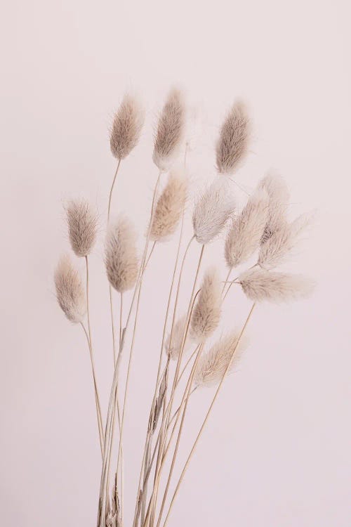 Fuzzies by Sisi & Seb wall art