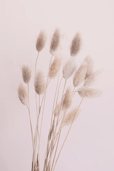 Zen Master: Fuzzies by Sisi & Seb