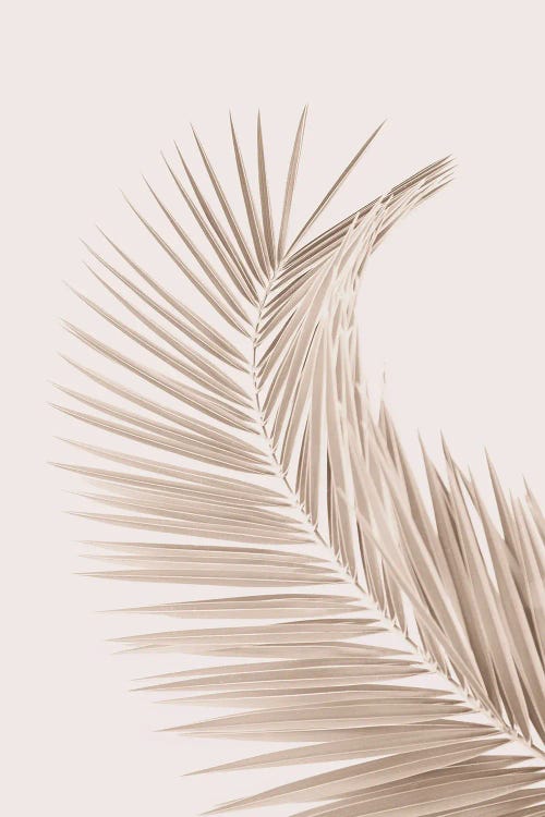 Tan Leaf II by Sisi & Seb wall art