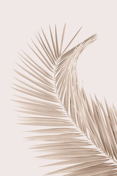 Fine Art Print: Tan Leaf II by Sisi & Seb