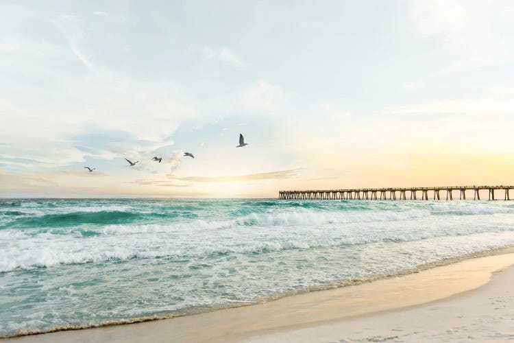 Birds Flying