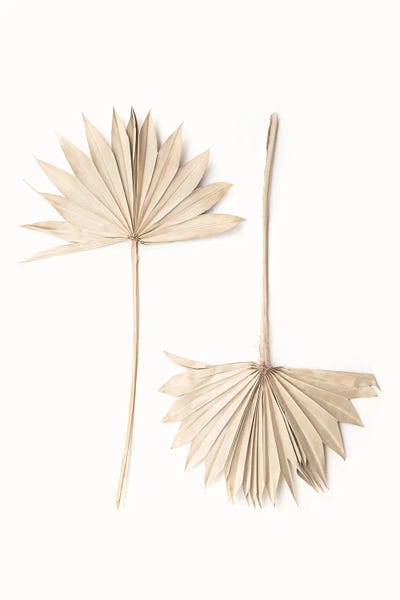 Fan Leaves by Sisi & Seb metal wall art