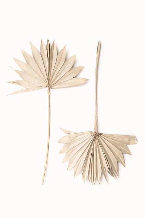 Fan Leaves by Sisi & Seb wall art