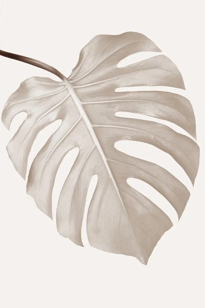 Fine Art Print: Tan Monstera by Sisi & Seb
