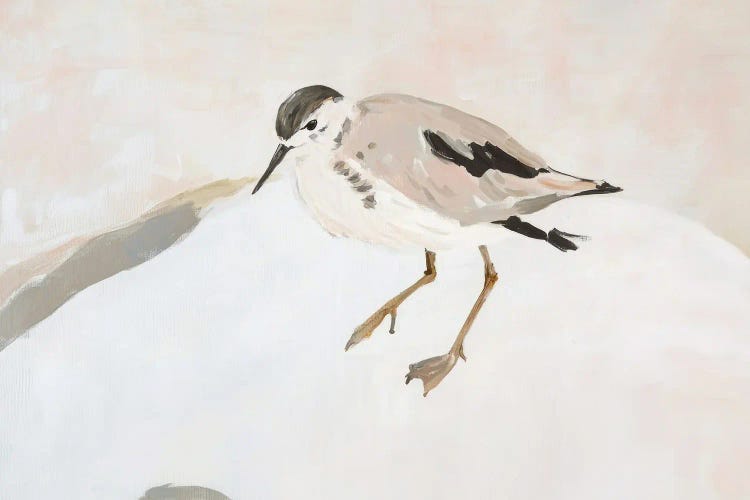 Cute Shorebird by Sisi & Seb wall art