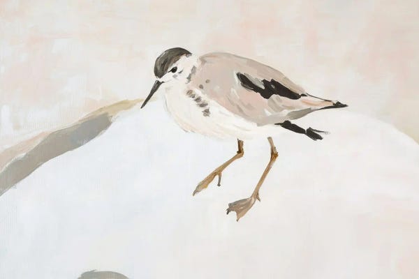 2026 | Cloud Dancer: Cute Shorebird by Sisi & Seb