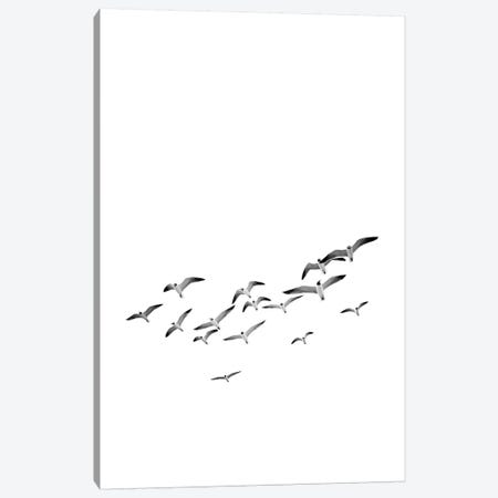 Birds 2 Canvas Print #SSE34} by Sisi & Seb Canvas Art Print