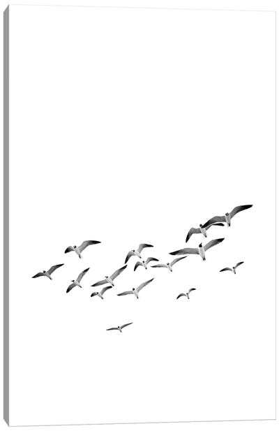 Birds 2 Canvas Art Print - Sisi & Seb
