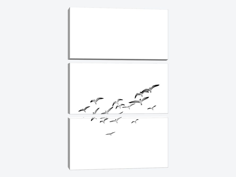 Birds 2 by Sisi & Seb 3-piece Canvas Art Print