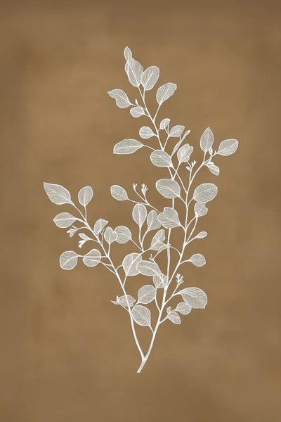 Earls Green - Canvas Prints: Terracotta Branch I by Sisi & Seb
