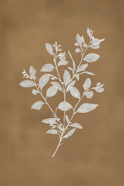 Earls Green - Canvas Prints: Terracotta Branch II by Sisi & Seb