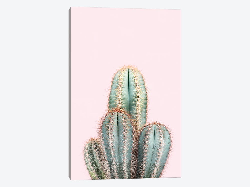 Blush Cactus by Sisi & Seb 1-piece Art Print