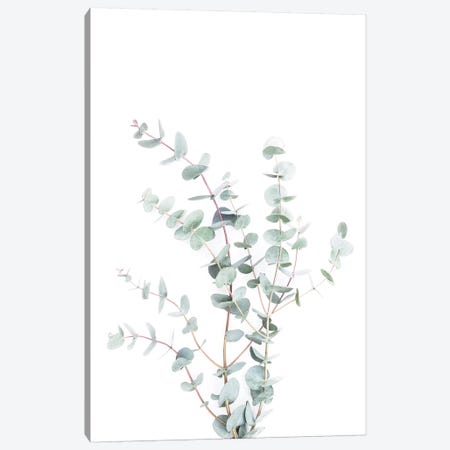 Botanical I Canvas Print #SSE42} by Sisi & Seb Art Print