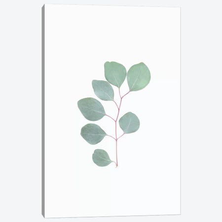 Botanical Leaf Canvas Print #SSE45} by Sisi & Seb Canvas Artwork