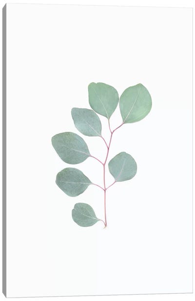Botanical Leaf Canvas Art Print - Sisi & Seb