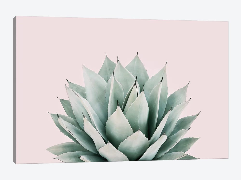  EZON-CH Extra Large Wall Art Blue Agave Canvas Prints Agave  Flower Large Art Canvas Printing Extra Large Canvas Wall Art Print 80 Inch  Total: Posters & Prints