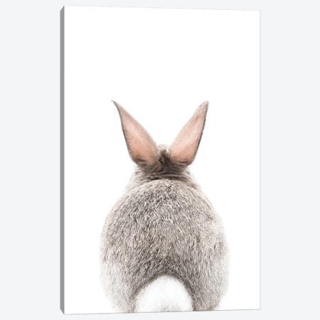 Bunny Tale Canvas Print #SSE51} by Sisi & Seb Canvas Art