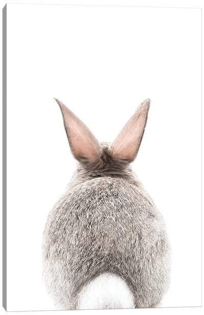Bunny Tale Canvas Art Print - Rabbit Art