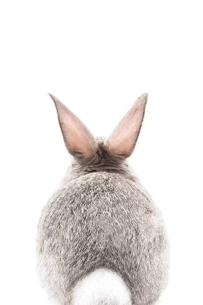 Kids Art Girls: Bunny Tale by Sisi & Seb